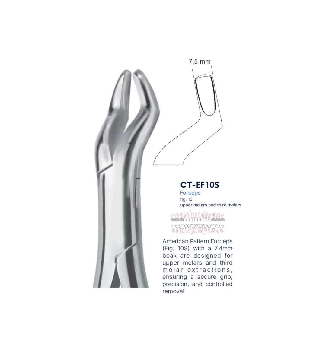 Extraction Forcep fig. 10s with standard handle