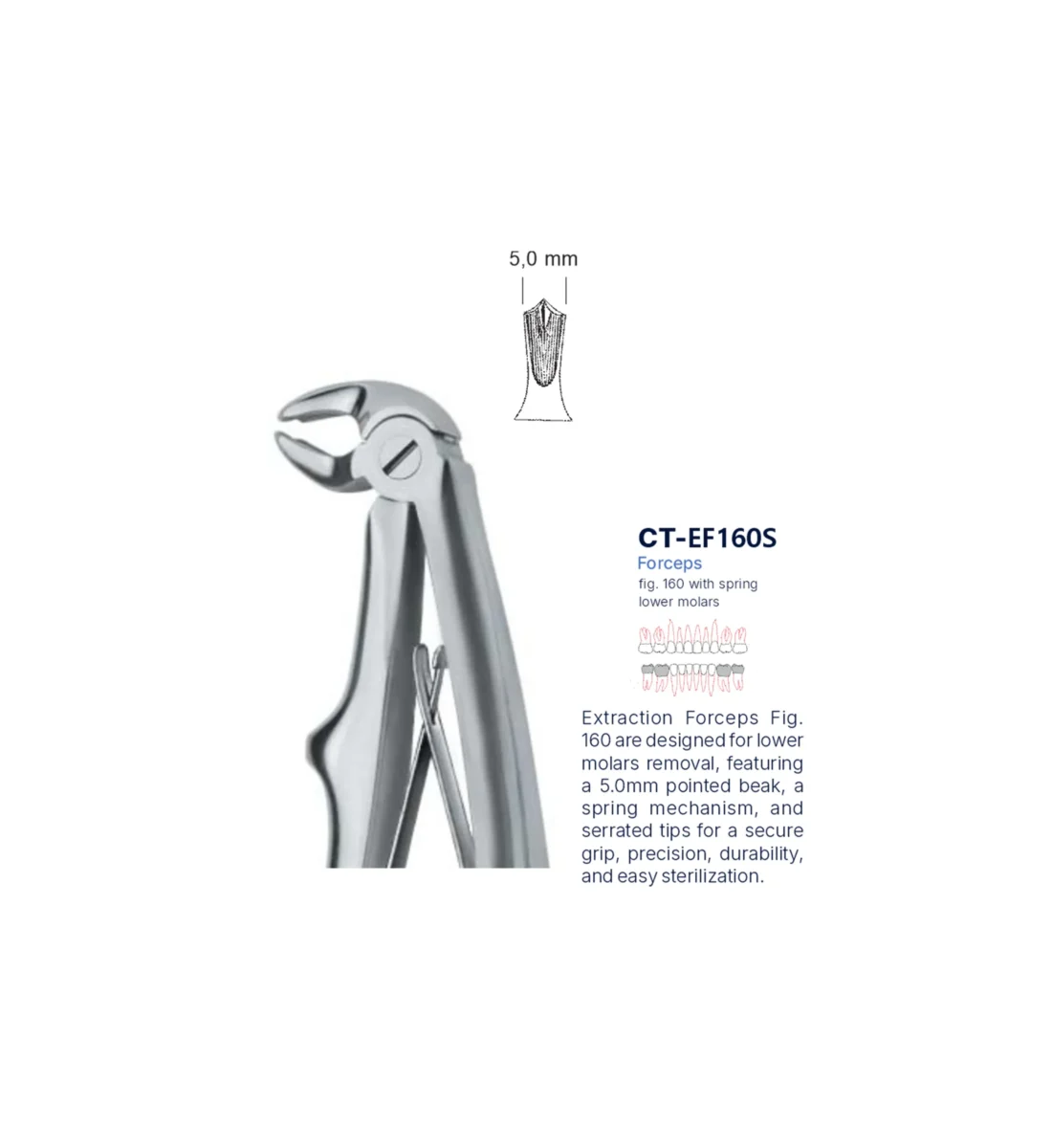 Extraction Forcep fig. 160 with standard handle