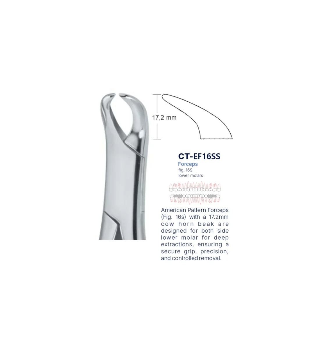 Extraction Forcep fig. 16s with standard handle