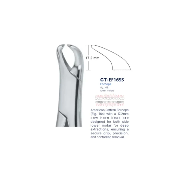 Extraction Forcep fig. 16s with standard handle