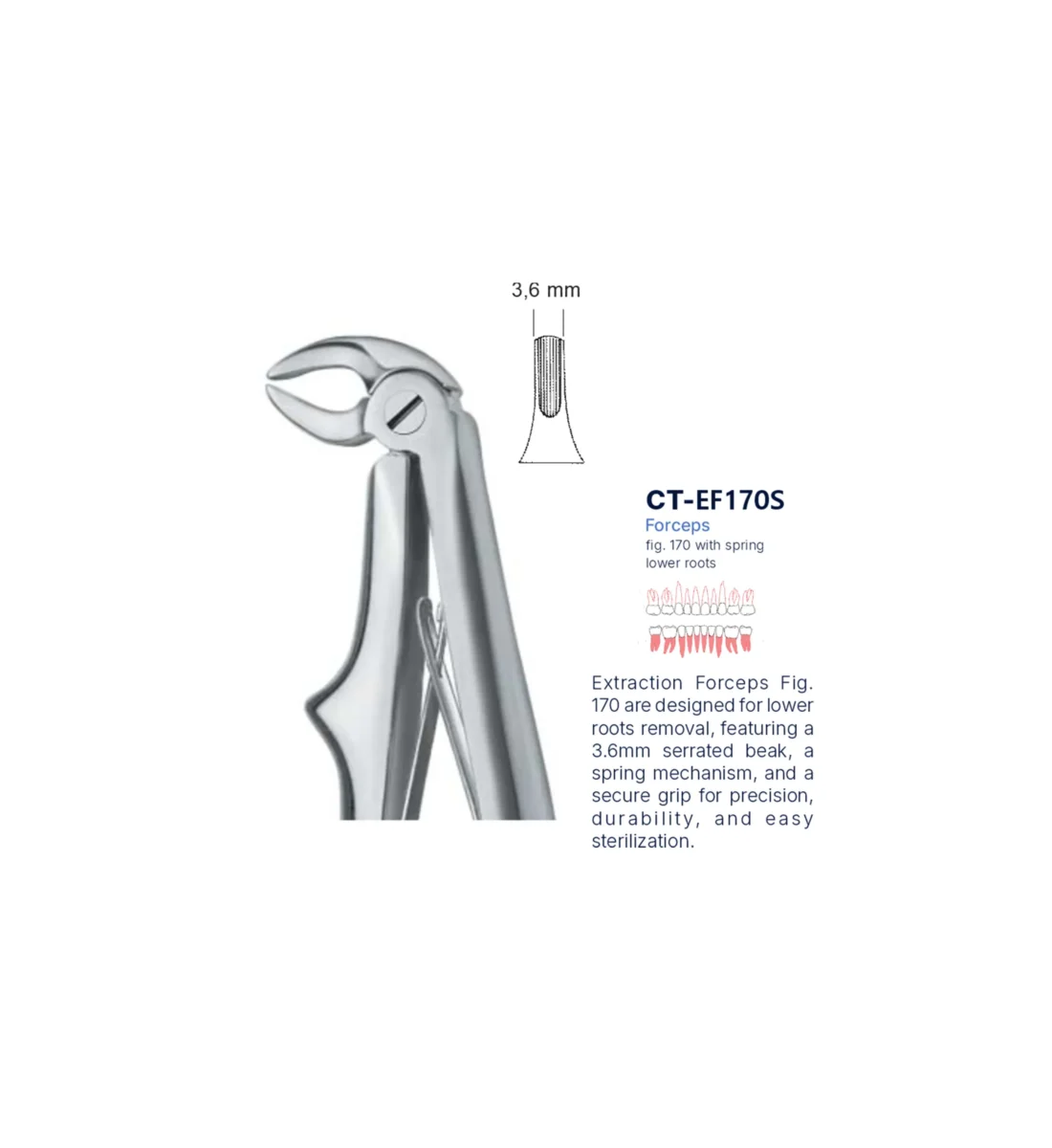 Extraction Forcep fig. 170 with standard handle