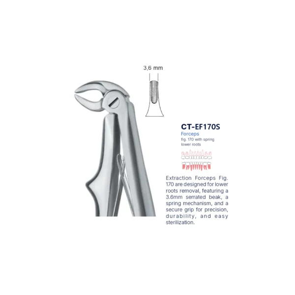 Extraction Forcep fig. 170 with standard handle