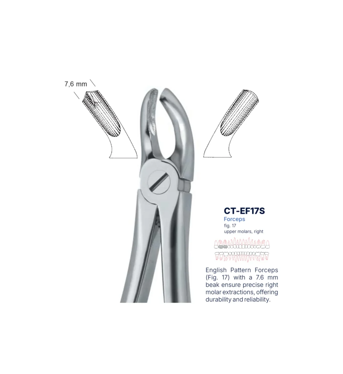Extraction Forcep fig. 17 with standard handle