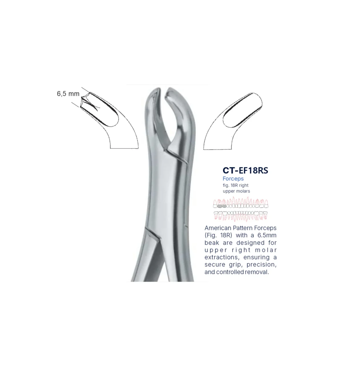 Extraction Forcep fig. 18r with standard handle