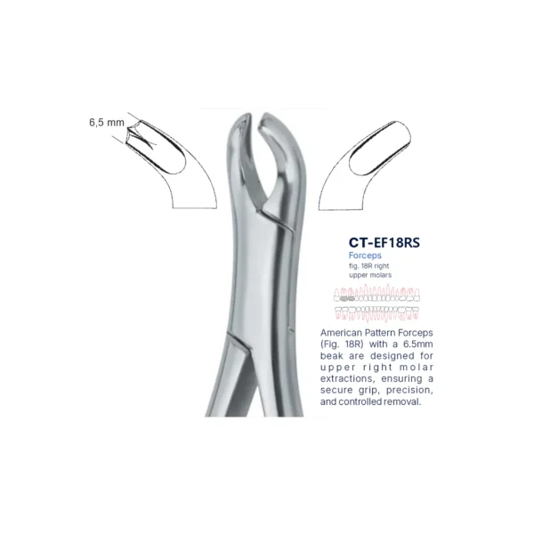 Extraction Forcep fig. 18r with standard handle