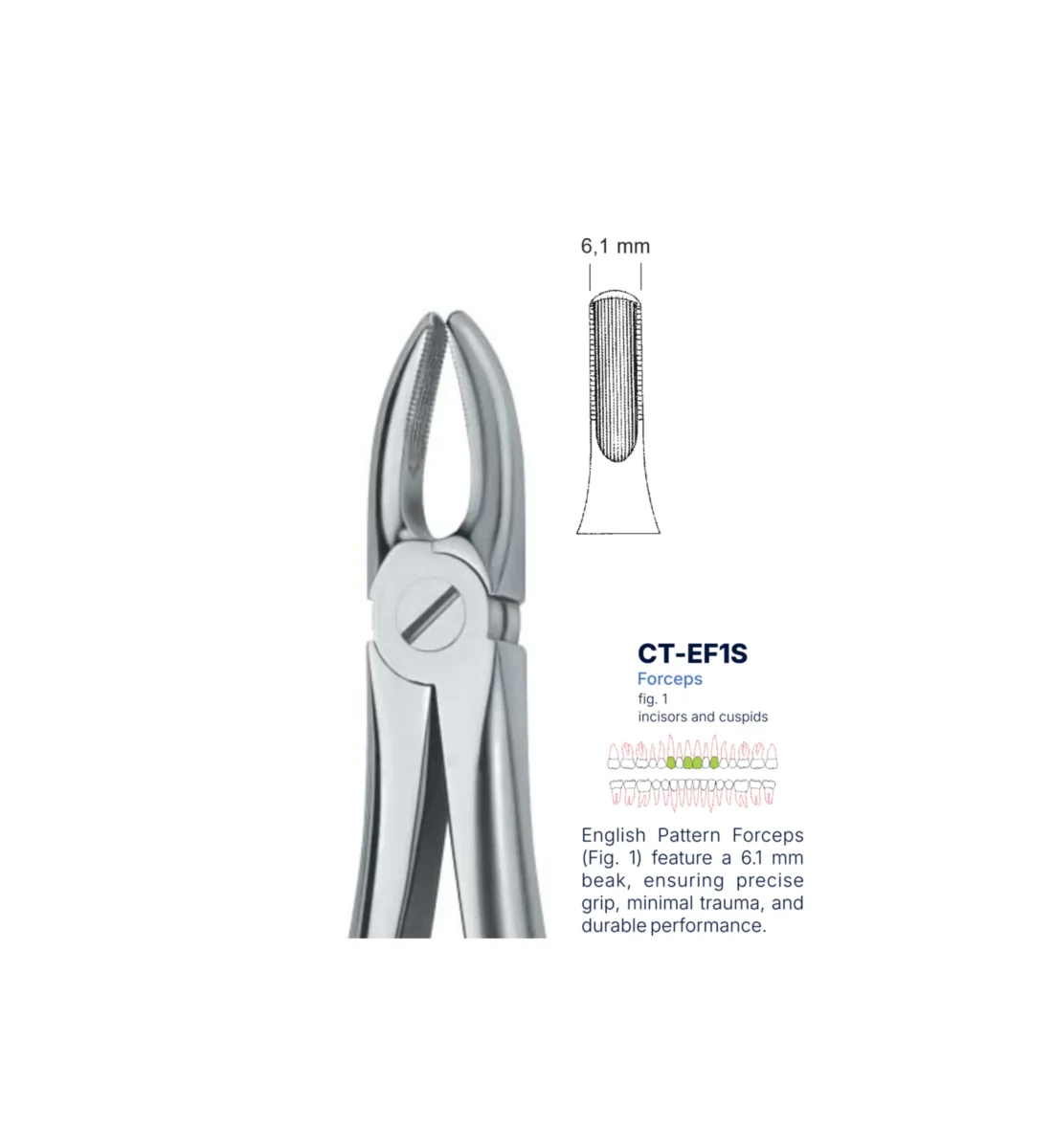 Extraction Forcep fig. 1 with standard handle
