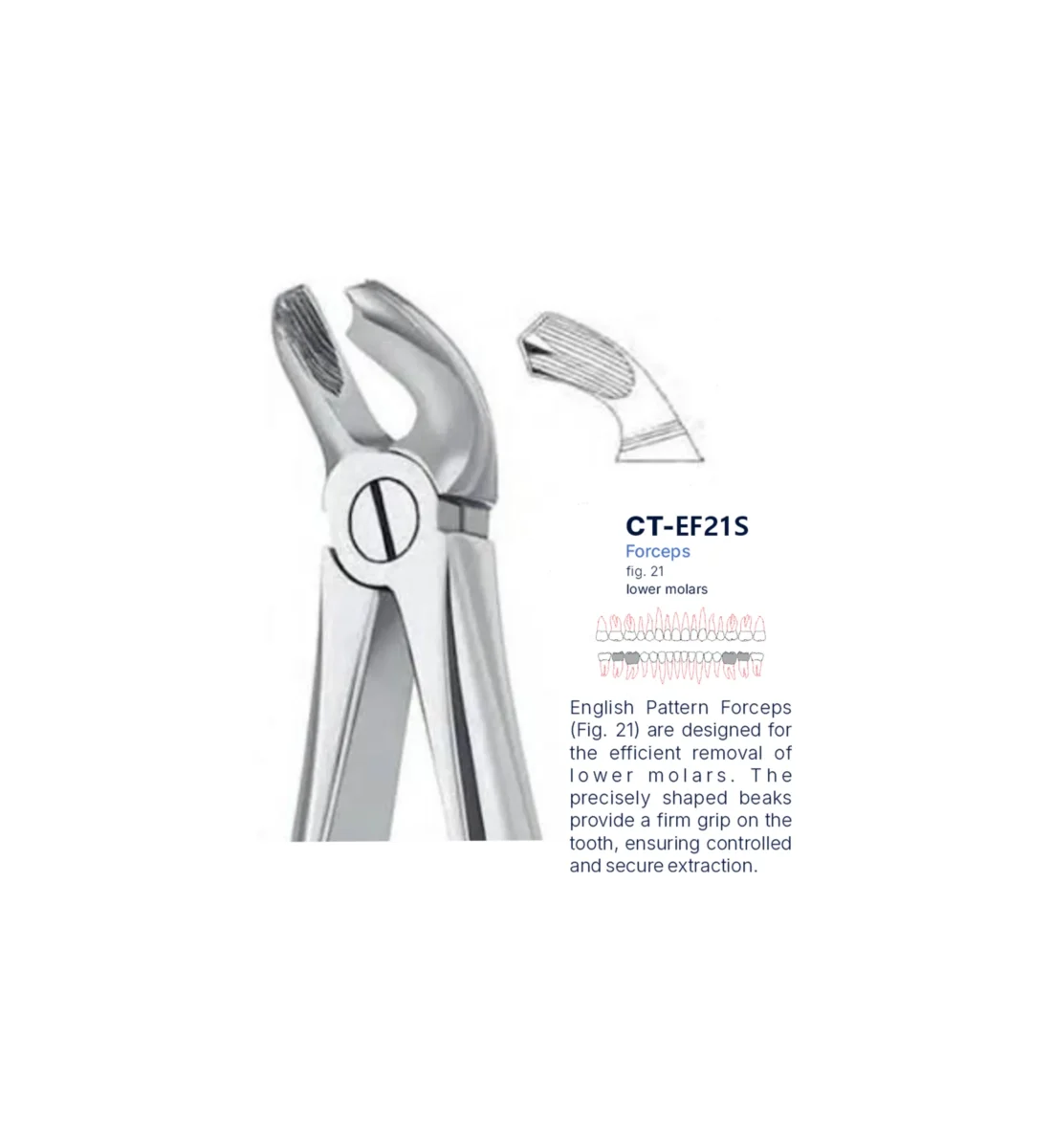 Extraction Forcep fig. 21 with standard handle