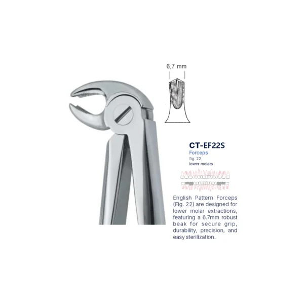 Extraction Forcep fig. 22 with standard handle