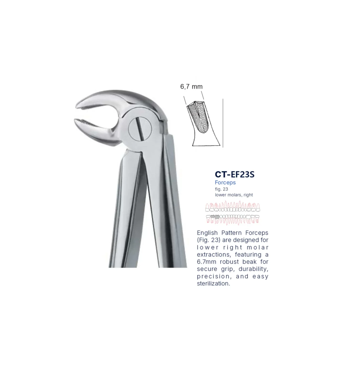 Extraction Forcep fig. 23 with standard handle