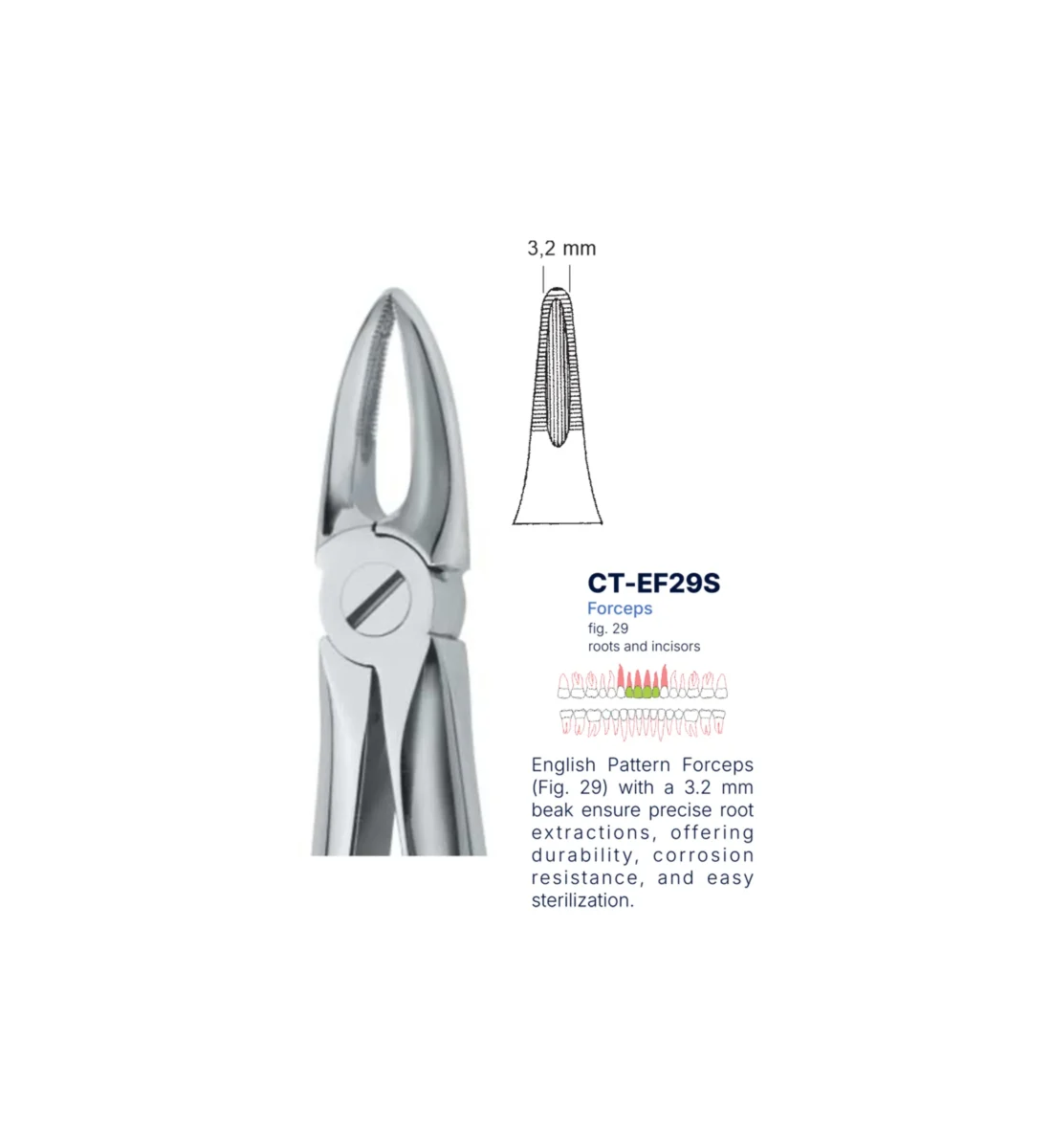 Extraction Forcep fig. 29 with standard handle