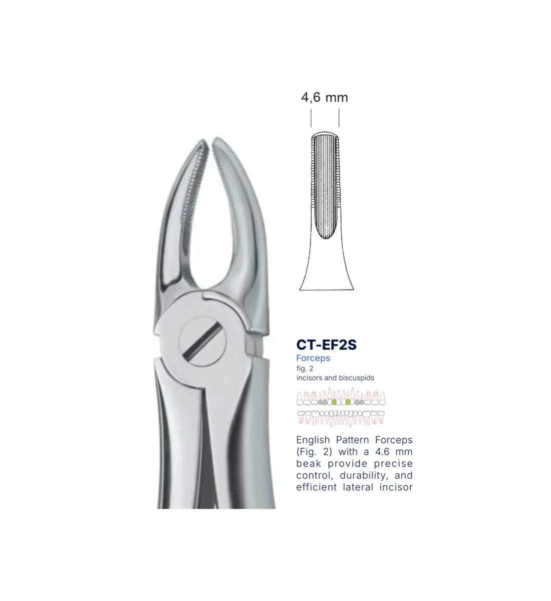Extraction Forcep fig. 2 with standard handle