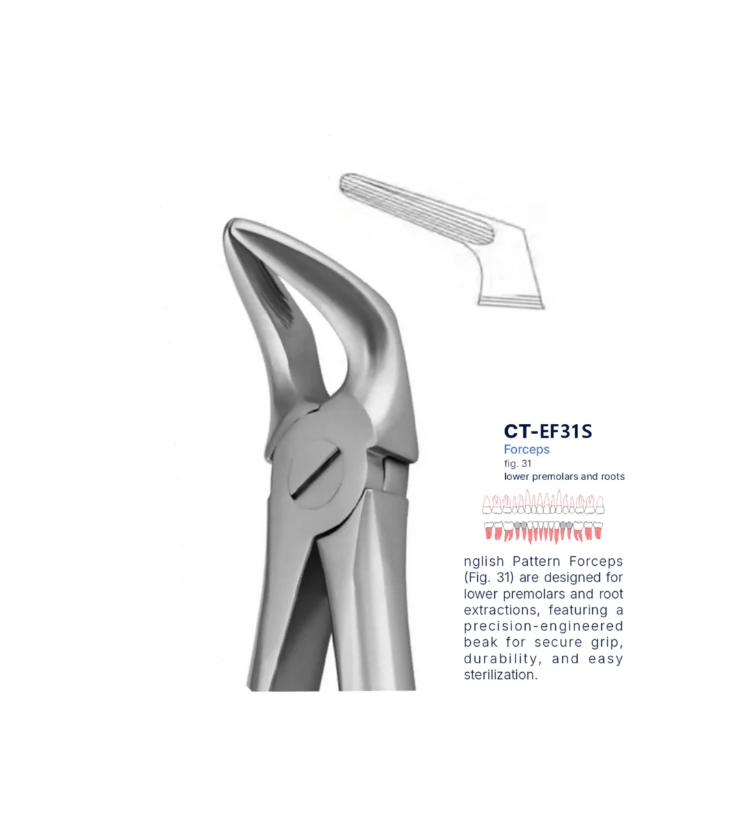 Extraction Forcep fig. 31 with standard handle