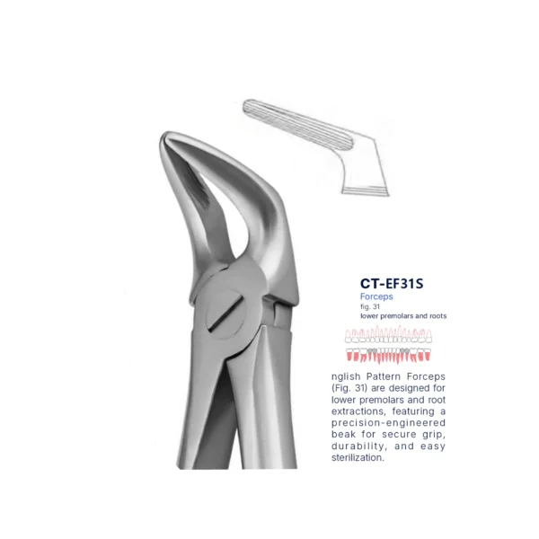 Extraction Forcep fig. 31 with standard handle