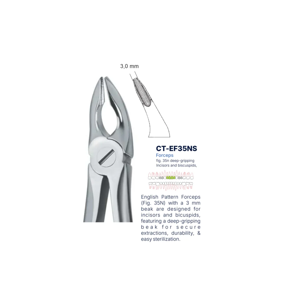 Extraction Forcep fig. 35n with standard handle