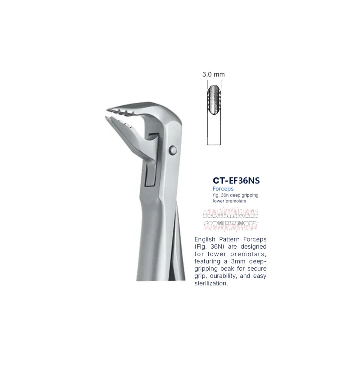 Extraction Forcep fig. 36n with standard handle