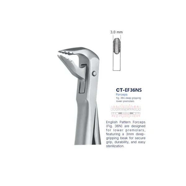 Extraction Forcep fig. 36n with standard handle