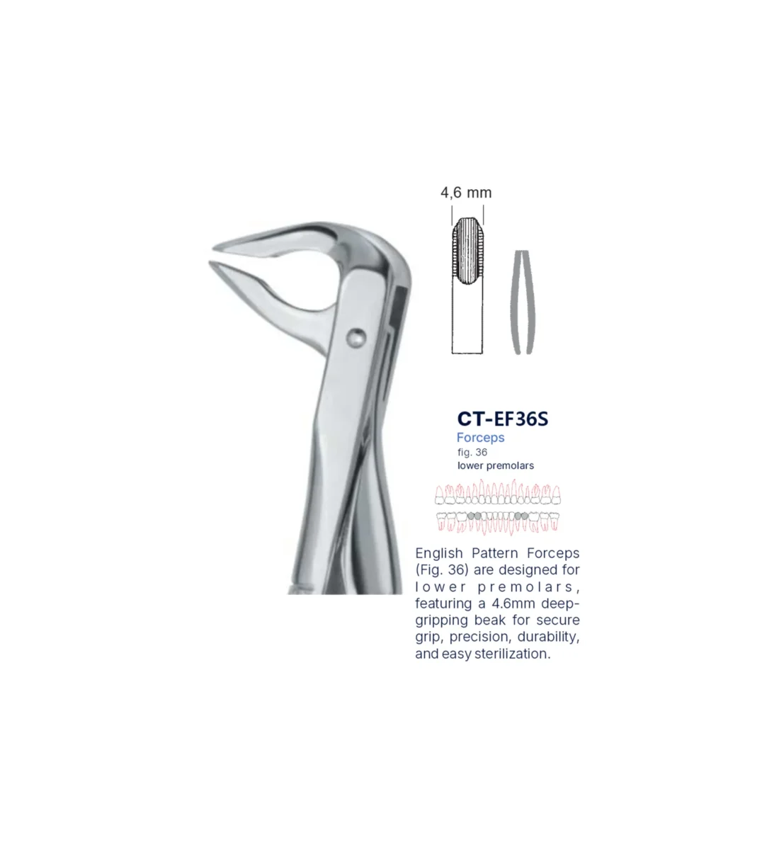 Extraction Forcep fig. 36 with standard handle