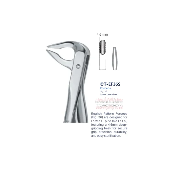 Extraction Forcep fig. 36 with standard handle