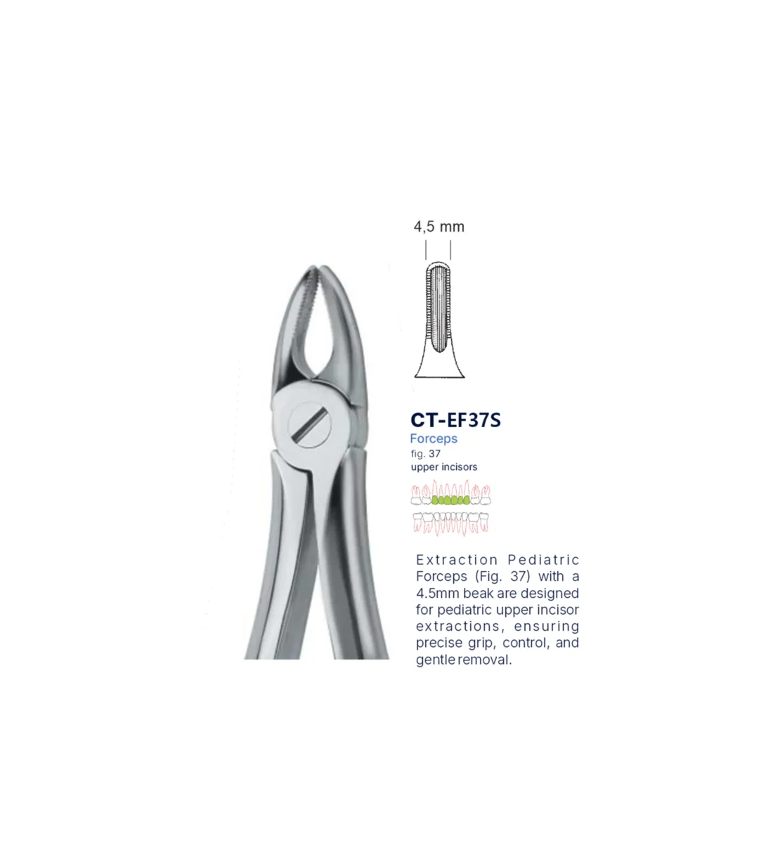 Extraction Forcep fig. 37 with standard handle