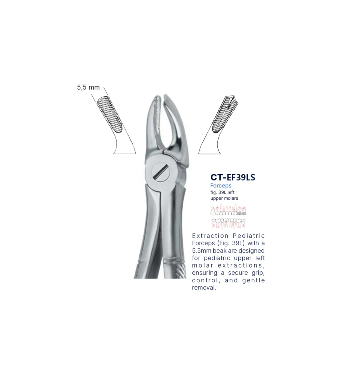 Extraction Forcep fig. 39l with standard handle