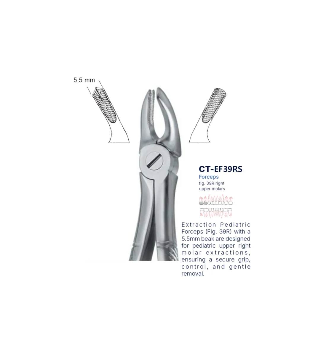 Extraction Forcep fig. 39r with standard handle
