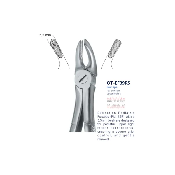Extraction Forcep fig. 39r with standard handle