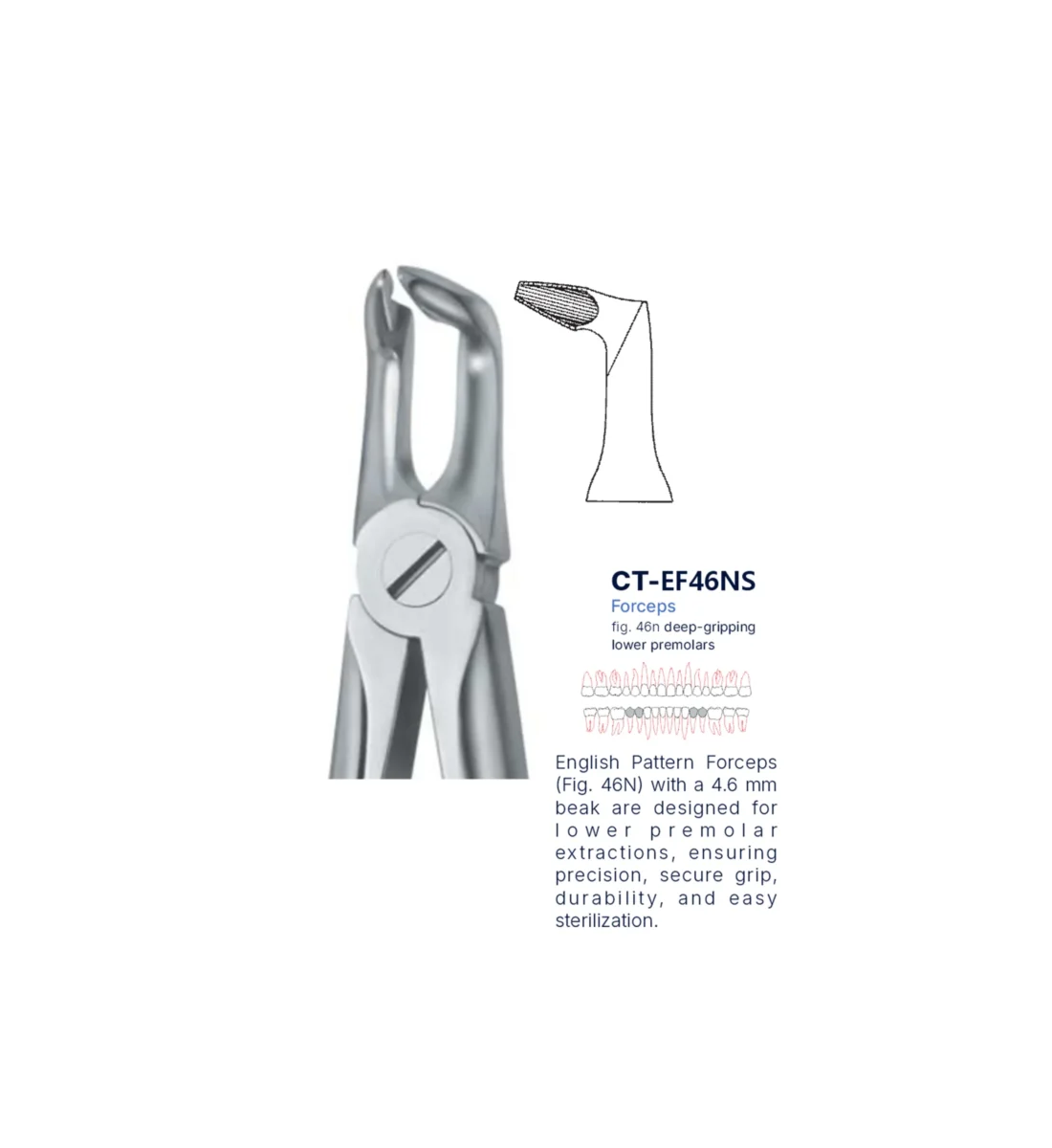Extraction Forcep fig. 46n with standard handle