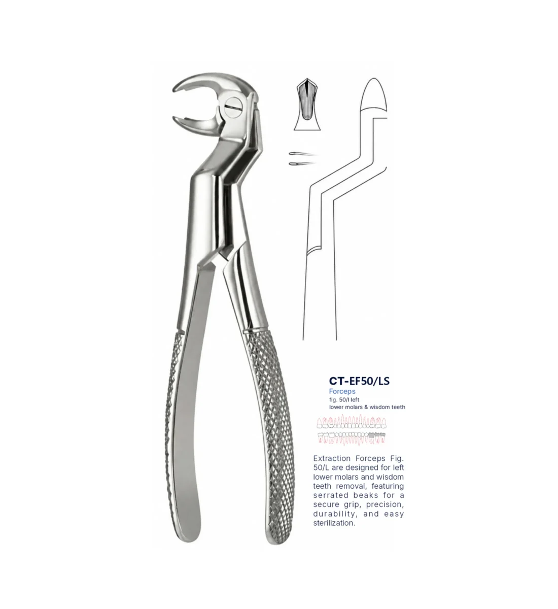 Extraction Forcep fig. 50/l with standard handle
