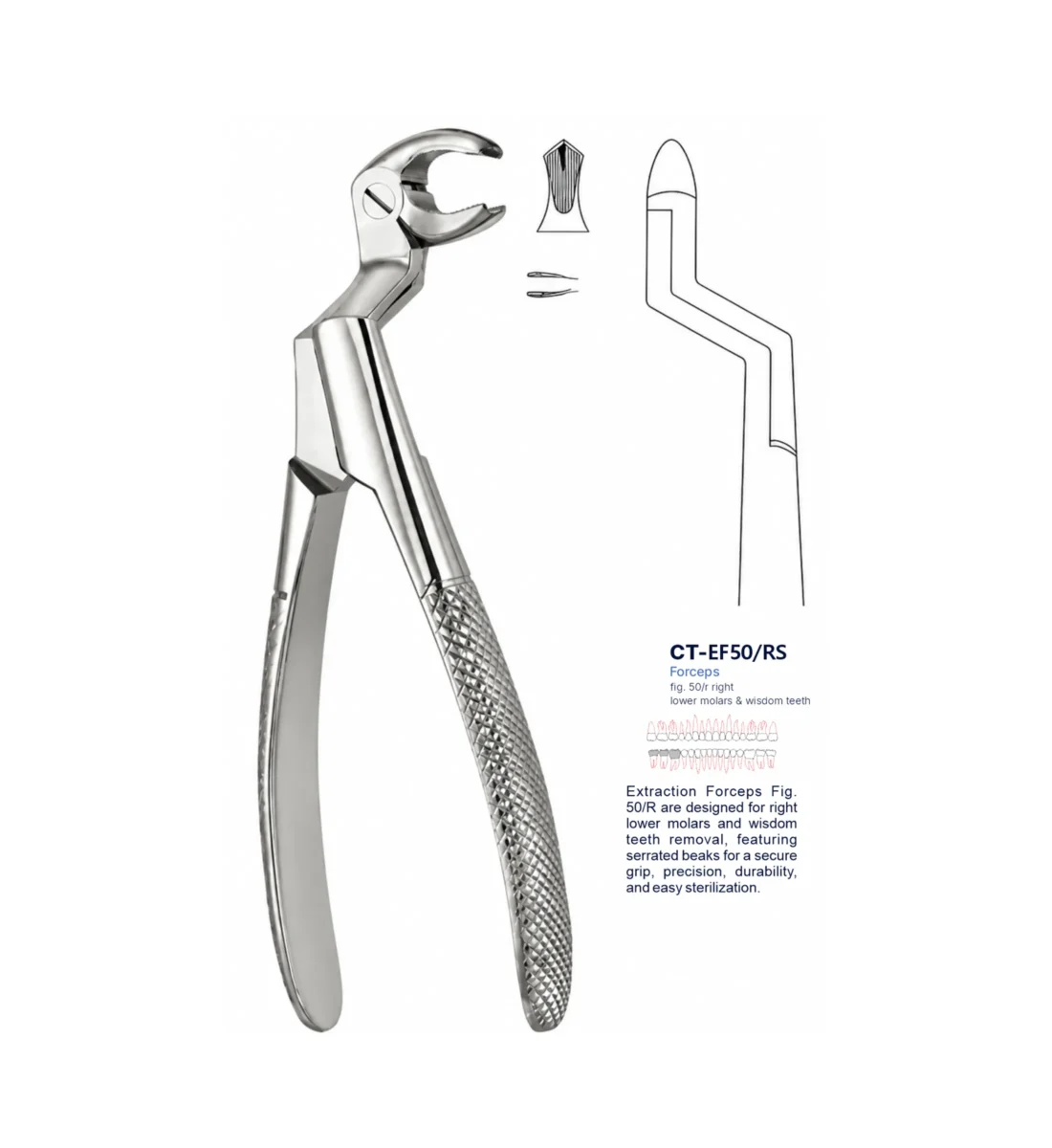 Extraction Forcep fig. 50/r with standard handle