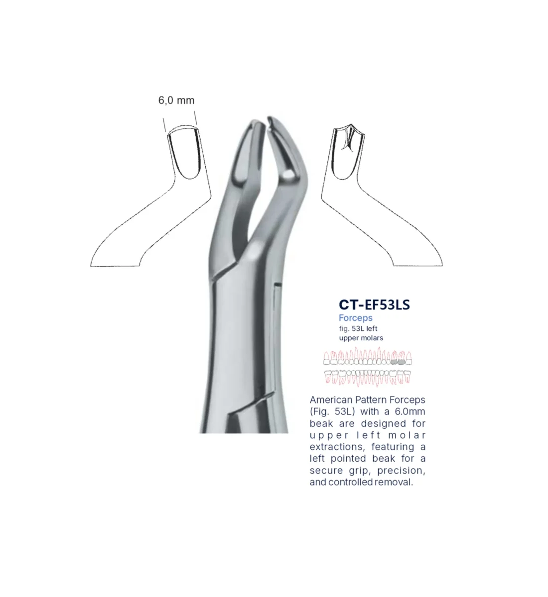 Extraction Forcep fig. 53l with standard handle
