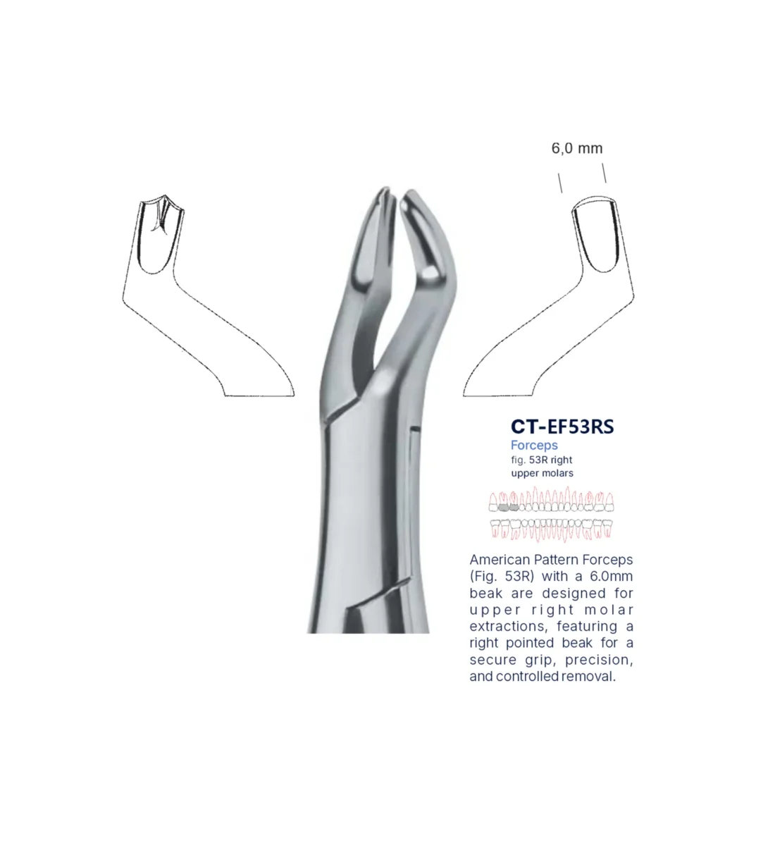 Extraction Forcep fig. 53r with standard handle