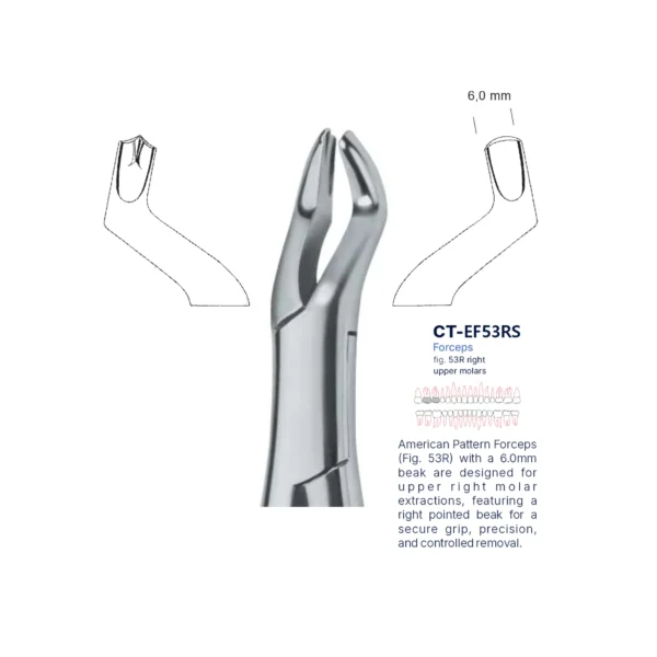 Extraction Forcep fig. 53r with standard handle