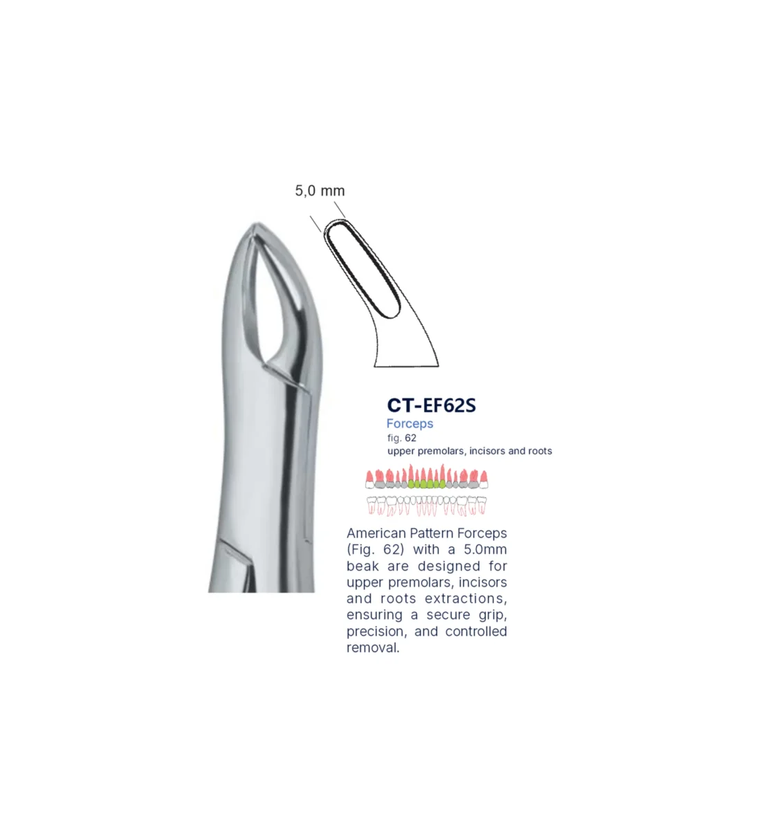 Extraction Forcep fig. 62 with standard handle