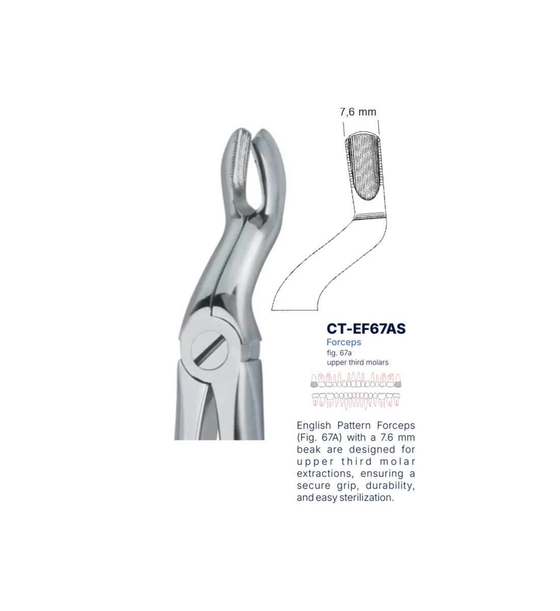 Extraction Forcep fig. 67a with standard handle