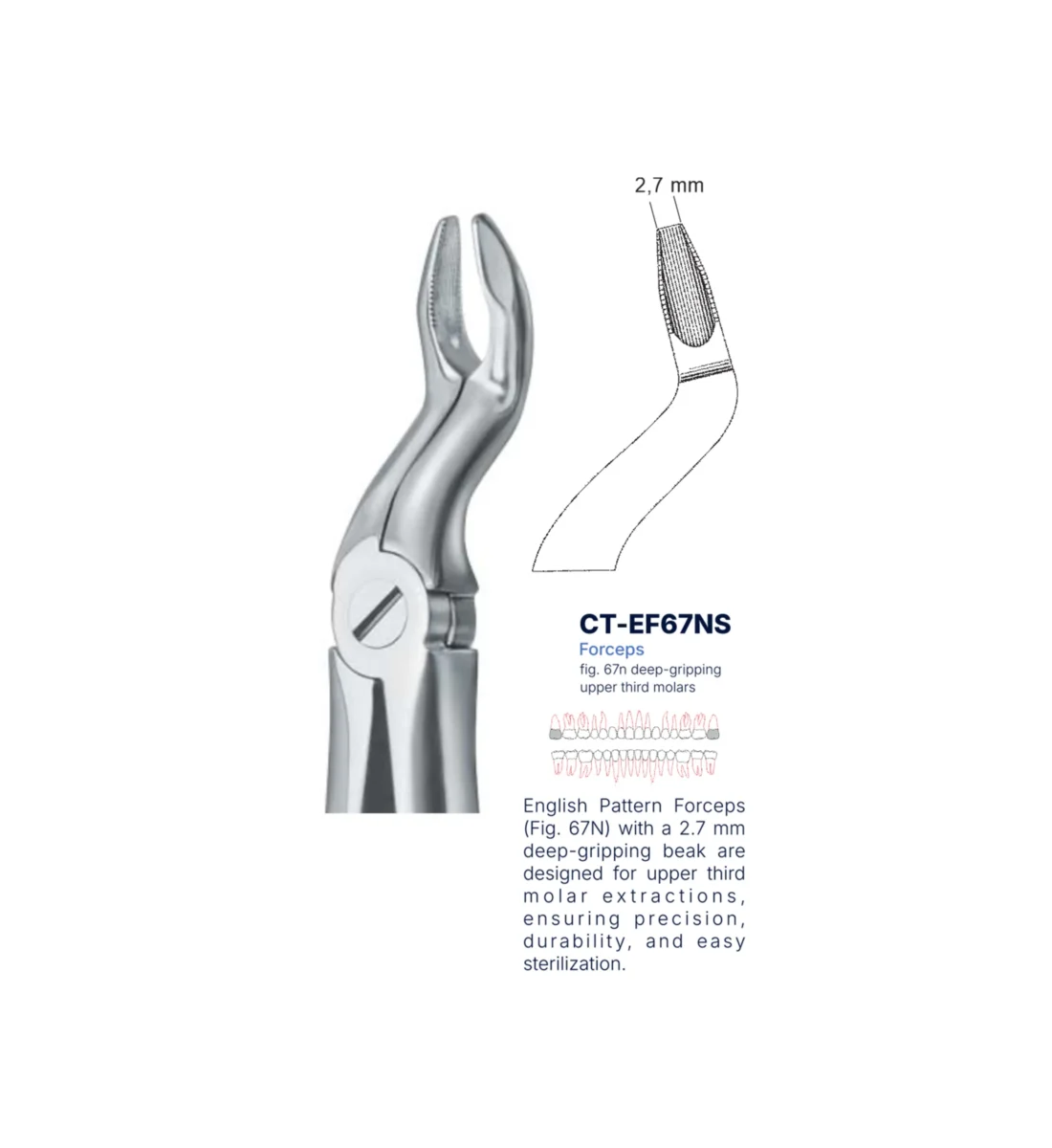 Extraction Forcep fig. 67n with standard handle