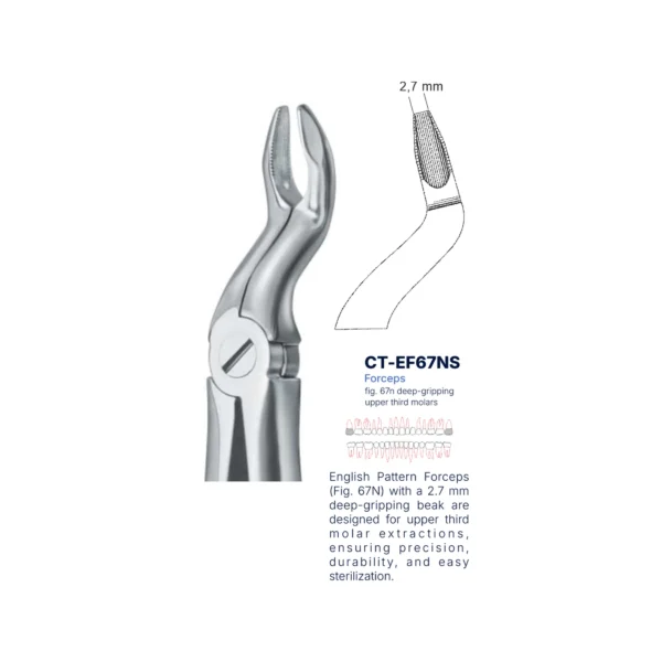 Extraction Forcep fig. 67n with standard handle