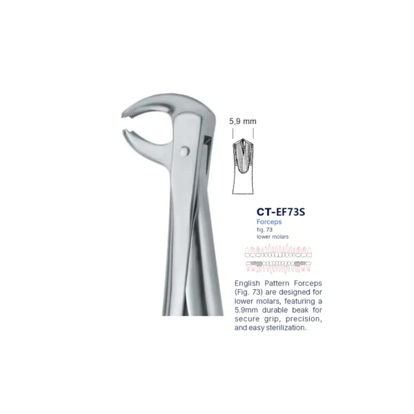 Extraction Forcep fig. 73 with standard handle