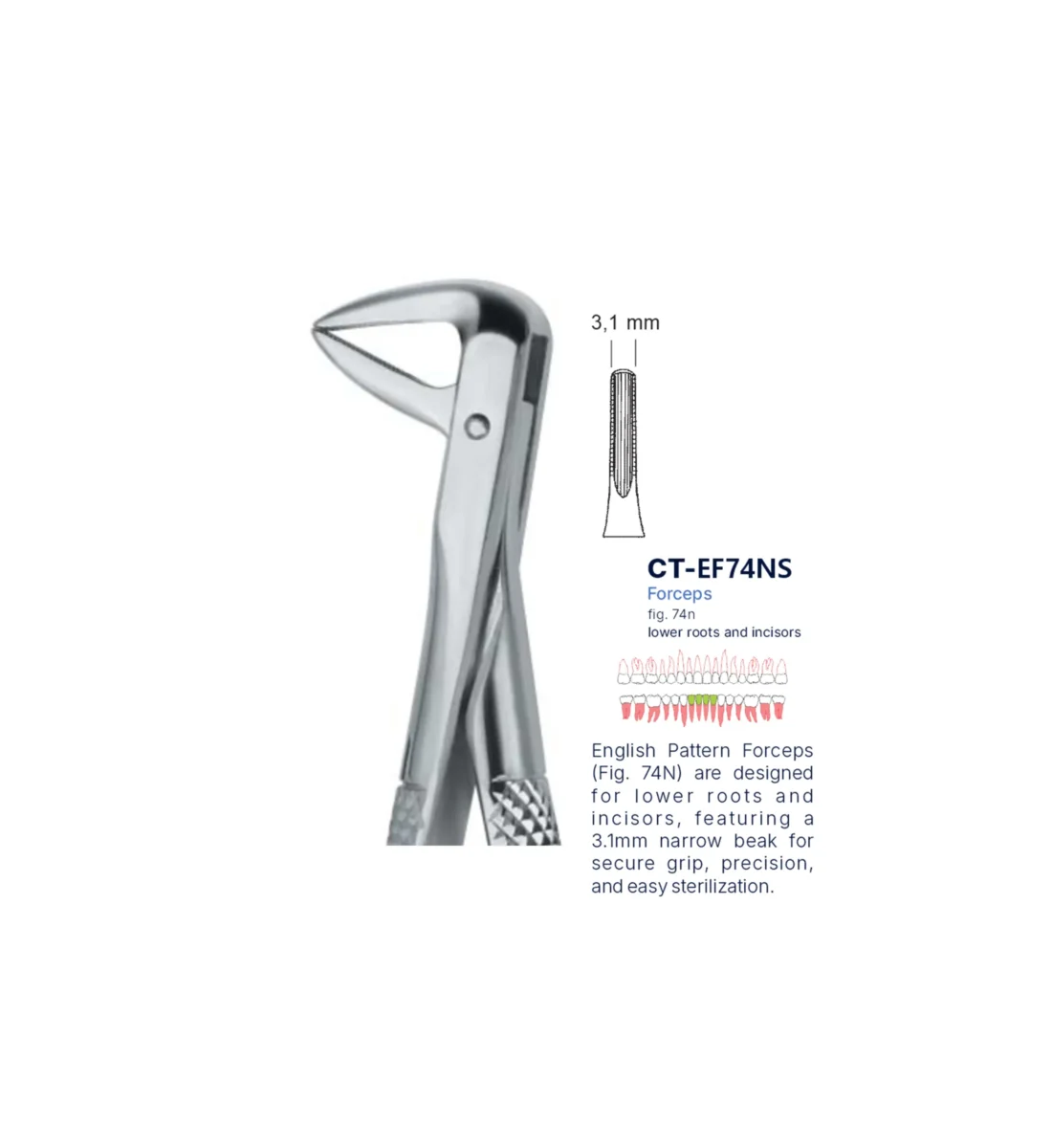 Extraction Forcep fig. 74n with standard handle