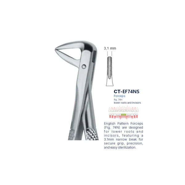 Extraction Forcep fig. 74n with standard handle