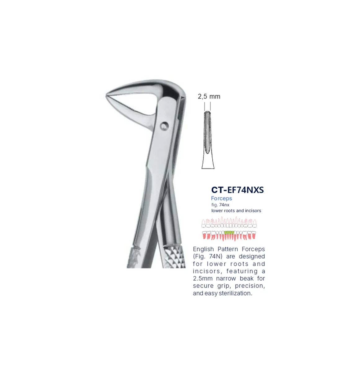 Extraction Forcep fig. 74nx with standard handle