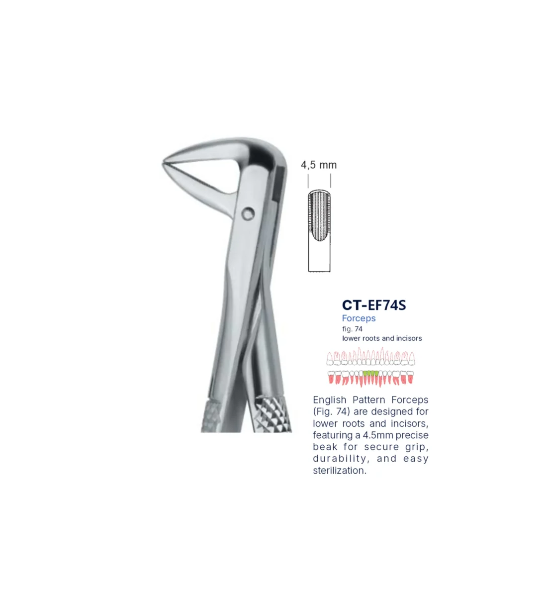 Extraction Forcep fig. 74 with standard handle