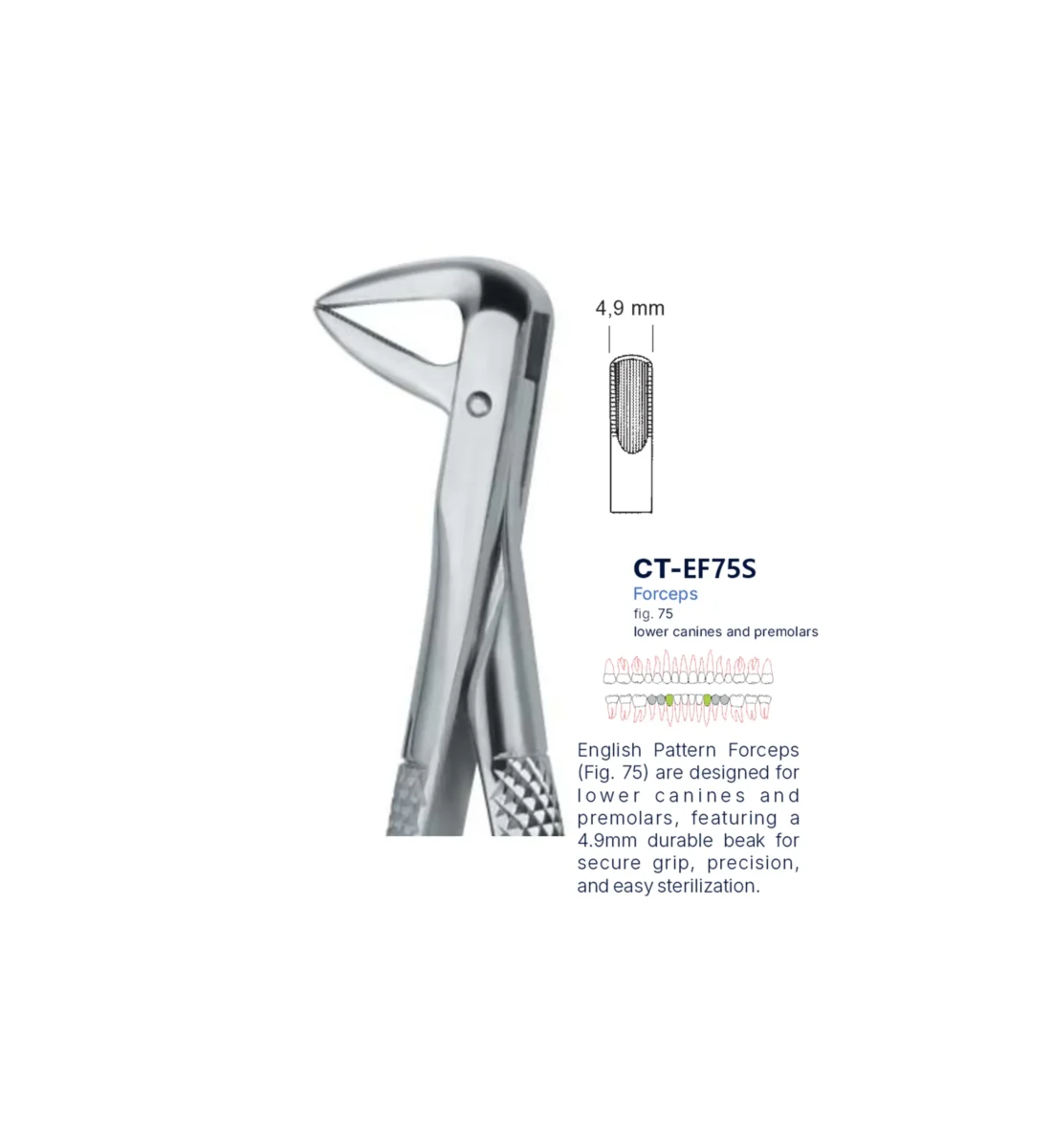 Extraction Forcep fig. 75 with standard handle