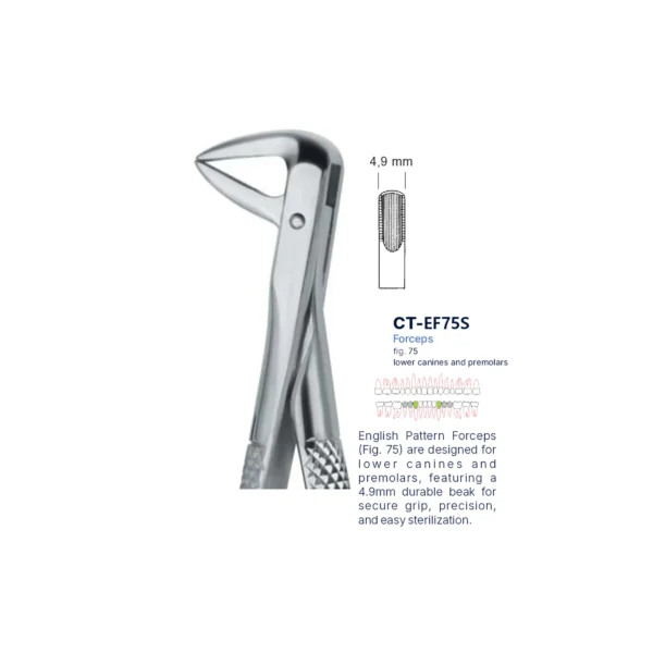 Extraction Forcep fig. 75 with standard handle