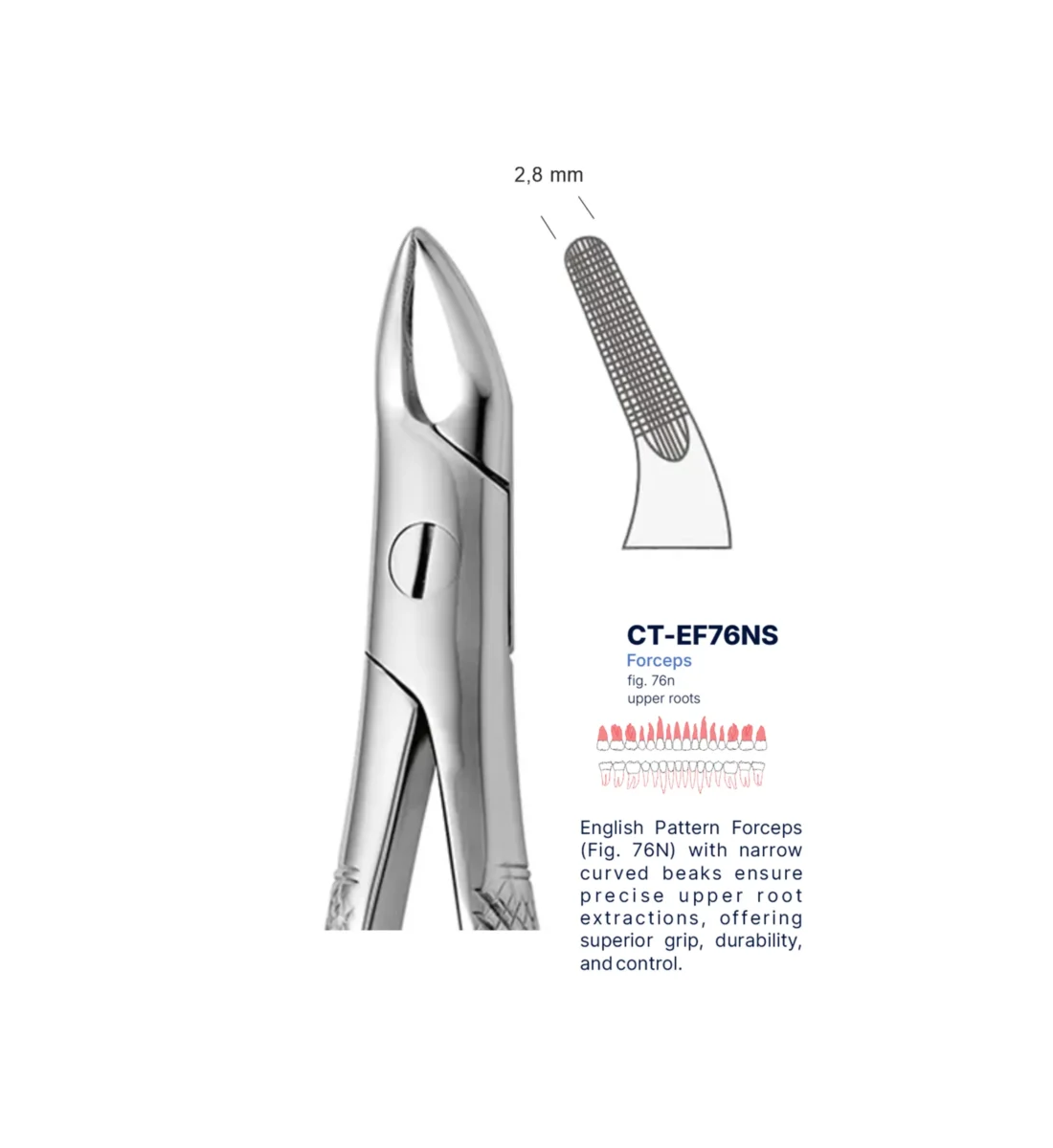 Extraction Forcep fig. 76N with standard handle