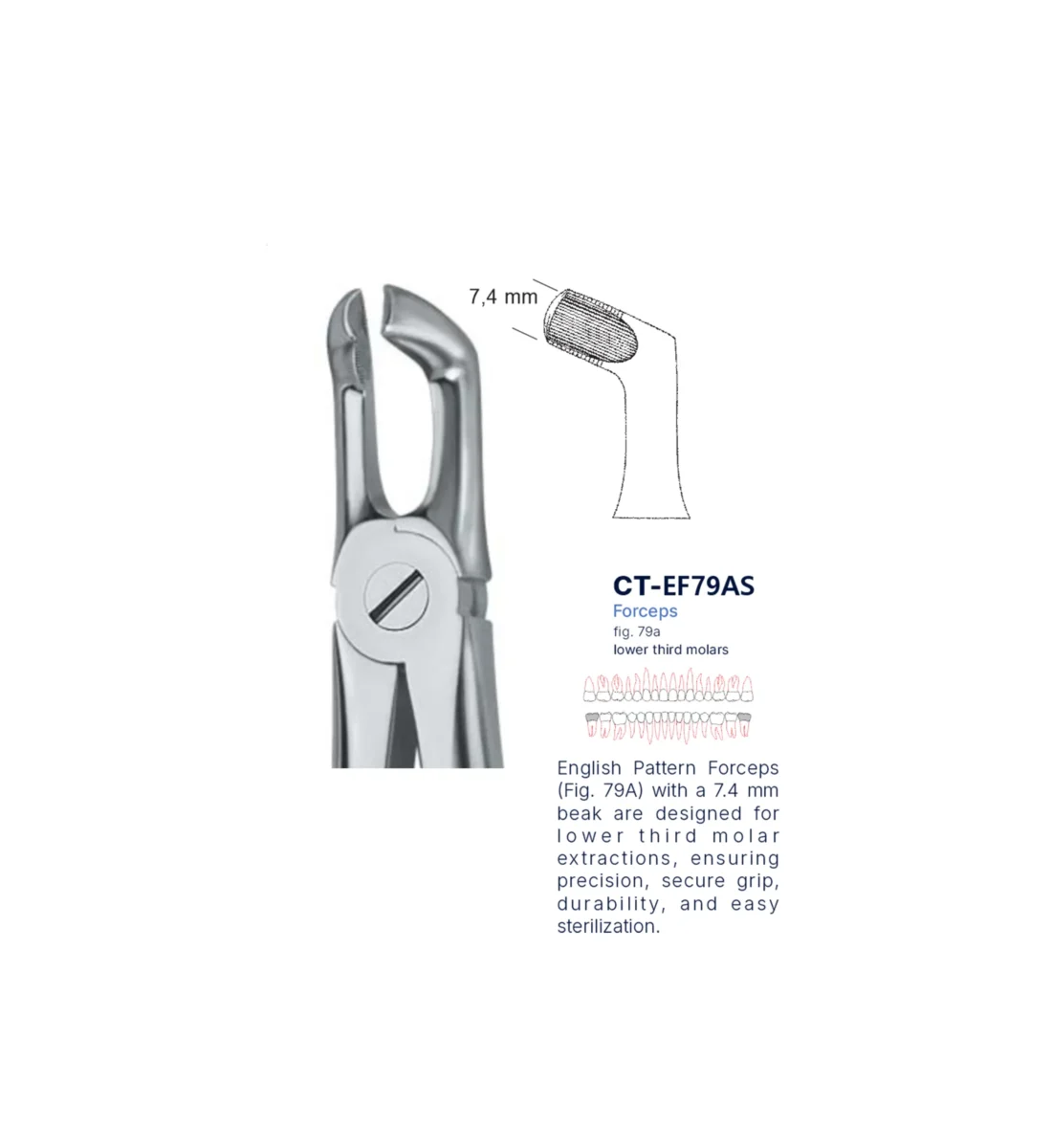 Extraction Forcep fig. 79a with standard handle