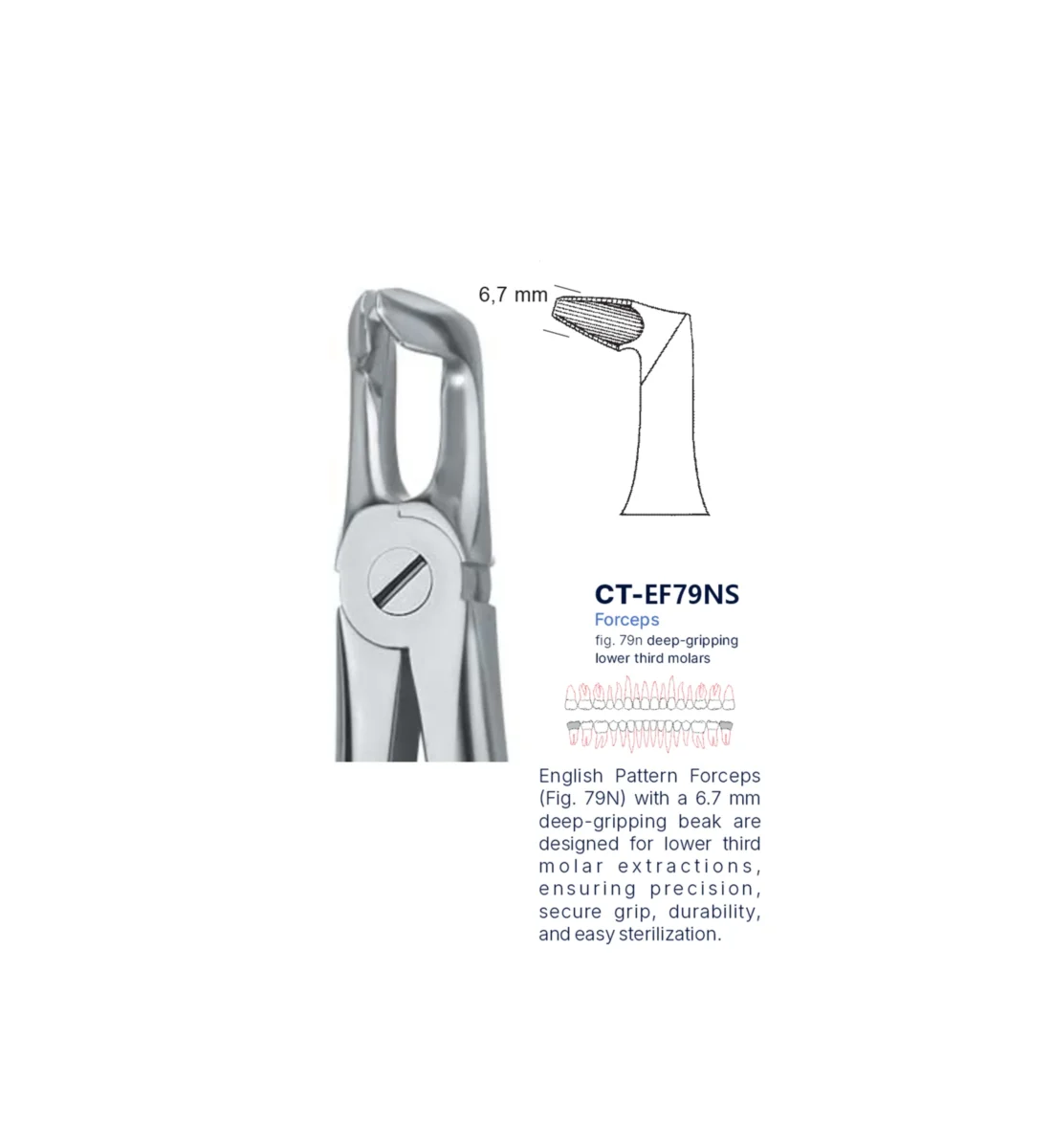 Extraction Forcep fig. 79n with standard handle