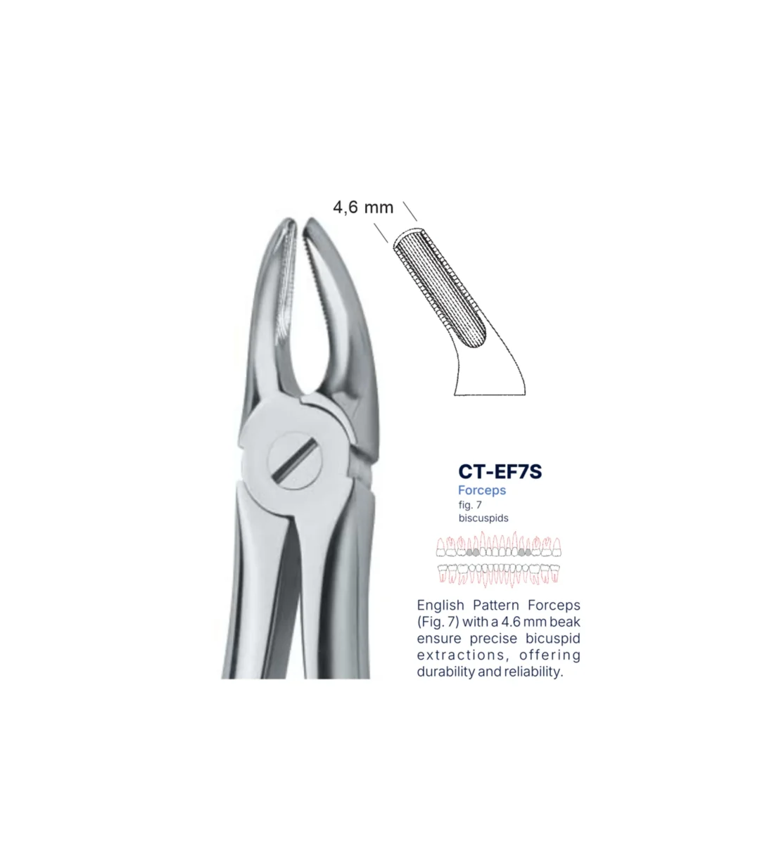 Extraction Forcep fig. 7 with standard handle