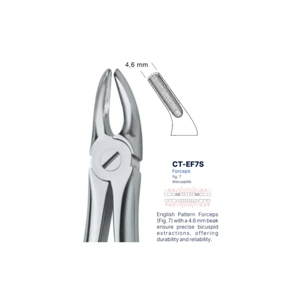 Extraction Forcep fig. 7 with standard handle