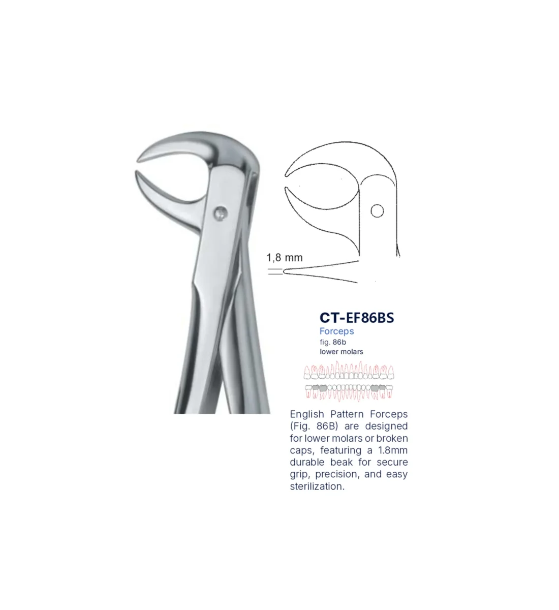 Extraction Forcep fig. 86b with standard handle