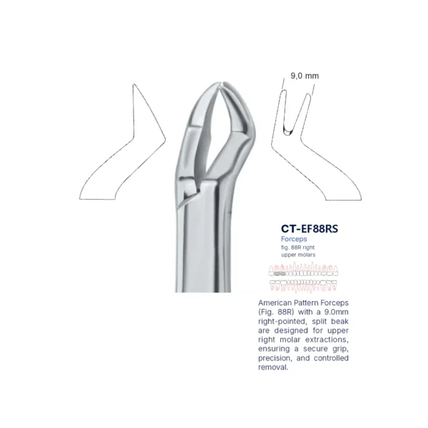 Extraction Forcep fig. 88r with standard handle
